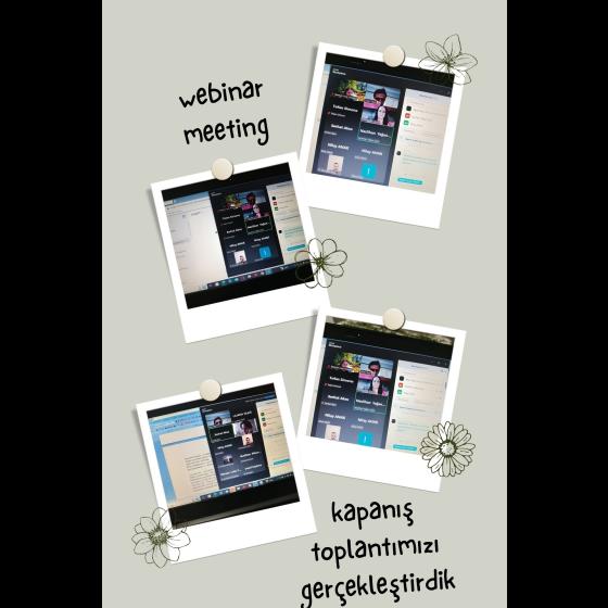 3. webinar