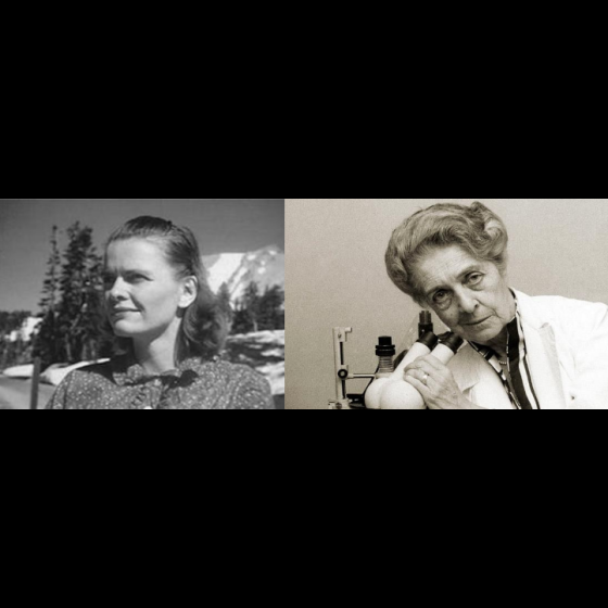 Julia Robinson y Rita Levi-Montalcino