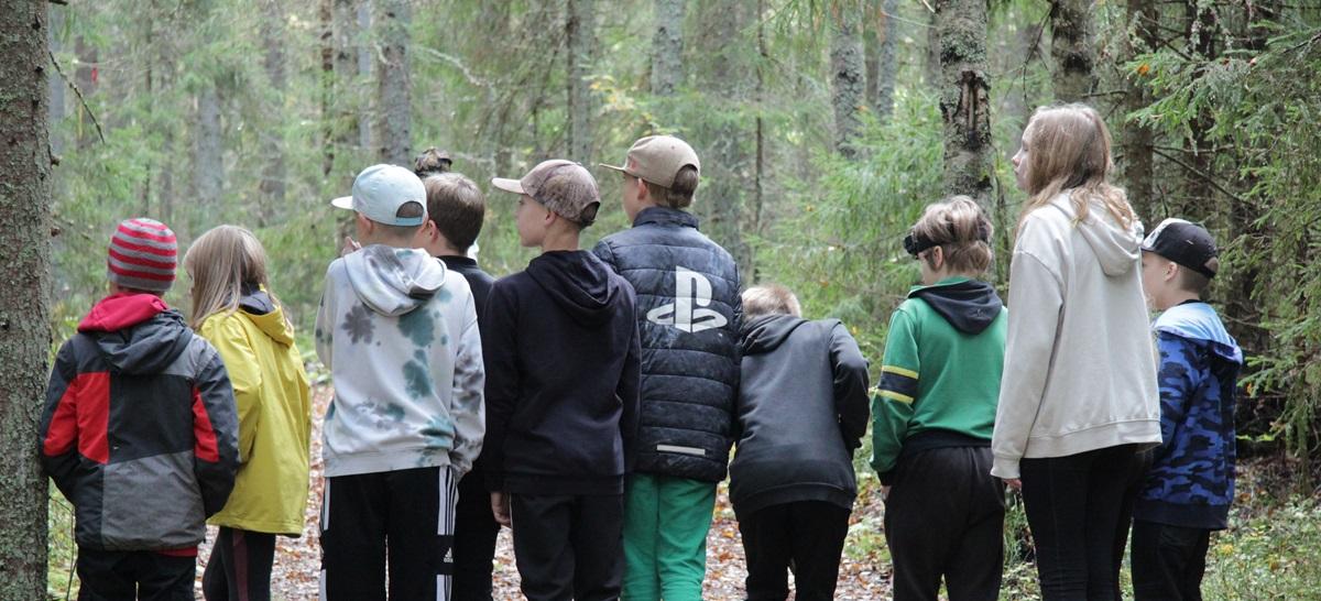 Terälahti school's pupils enjoy an outdoor learning day in a forest