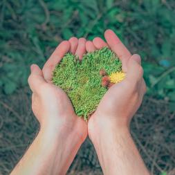 Green skills for education: promoting environmental awareness and sustainable actions in the classroom