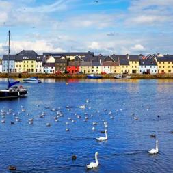 Galway city