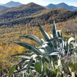 Bringing biodiversity into the classroom