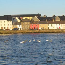 Picture of the Claddagh Galway