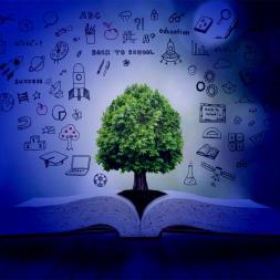 ECO-SCHOOL