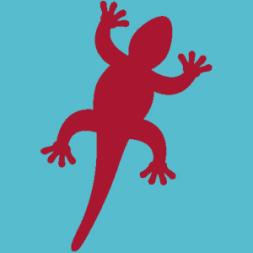 info@tefl-qualification.com