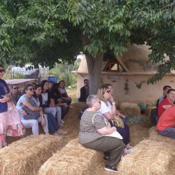 Teachers and education professionals sitting on straw bales, under a tree, outdoors, listening to the course educator.