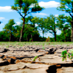 Teaching climate change: empowering educators to inspire action