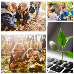 Education on Sustainability