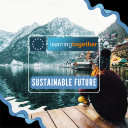 Sustainability Course