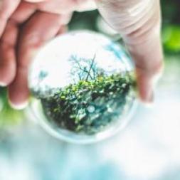 Environmental Education