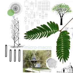 Environmental and Social innovative practices in educative contexts