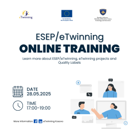 Online Teachers Capacity building training