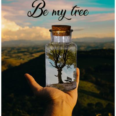 Budi moje stablo