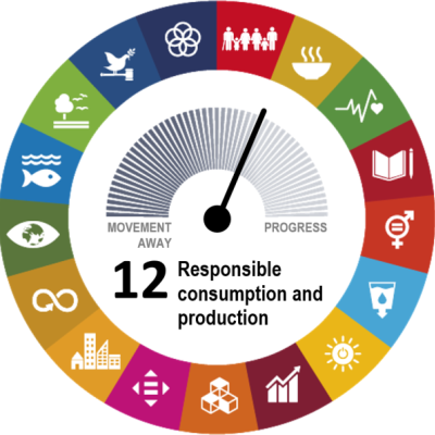 We want to familiarise and engage students in actions related to SDGs focusing on GOAL 12: Responsible Consumption and Production