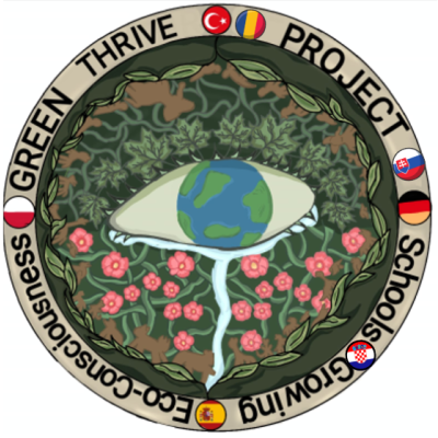 This project empowers international students to become environmental agents, driving school-wide sustainability efforts through research, digital creation, and impactful "Green Day" initiatives.