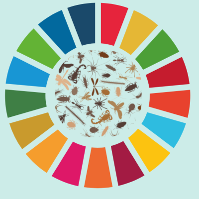 SDGs and Bugs