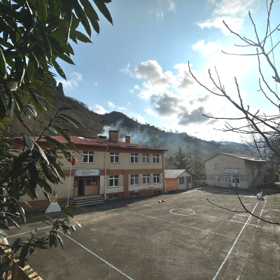 Our school
