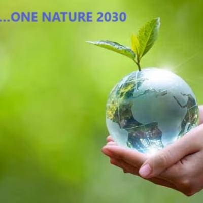 The image represents how important it is to promote the conservation of nature, natural resources and biodiversity to promote the reduction of the environmental impact of our activities.