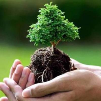 YEŞİL BİR GELECEK/ A GREEN FUTURE