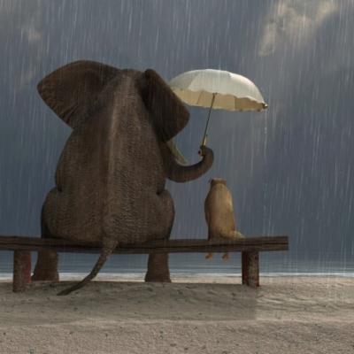 A kind heart that extends its umbrella to its friend, not to itself, when it's raining.