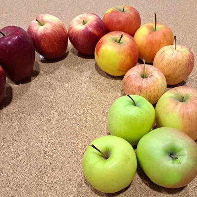 apple palette