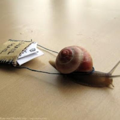 Snail mail: letter exchange by post.