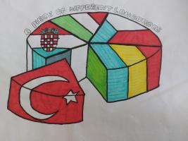 A circle with the flags of partners' countries. It is like a cake and Turkish flag slice is out of the circle. It has 5 slices. 