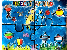 The logo winner is from Spain.Flags of all countries are represented in the shape of an Insect with the e Twinning Logo in the middle. All made by the students using different techniques such as: finger pain, cutting and drawing an interesting puzzle work in cooperative learning. 