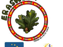 Our Logo: Circle with flags and Quercus leaves and fruit