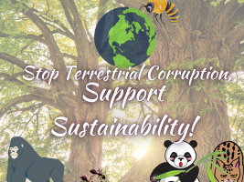 Stop Terrestrial Corruption, Support Sustainability!