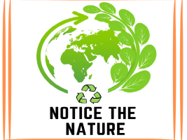 Notice The Nature Project Logo