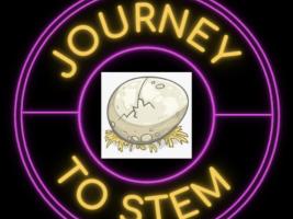 journey to stem