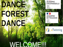 image d'une forêt, titre du projet et logos des partenaires