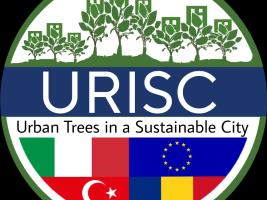 Urban Trees in a Sustainable City