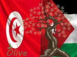 The blessed olive tree is the common agricultural wealth between Tunisia and Jordan