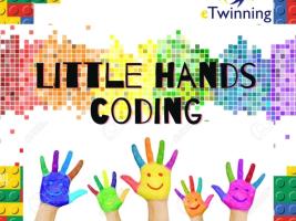 Little Hands Coding