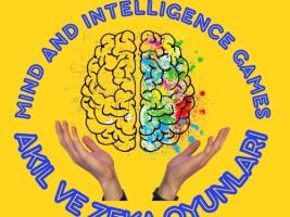 MIND AND INTELLIGENCE GAMES