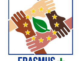 The image represents the importance of collaborative work among European countries. Moreover, the leaf as well as the green colour shows one of the aims of our project: Environment. 