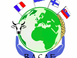 This logo represents the main topic of our project : Agro-ecology. Flags at the top of this logo represent the countries involved in this project. 