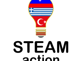 STEAM action 2024-2025