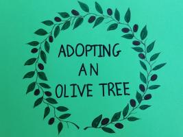 Adopting an olive tree