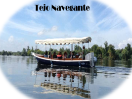 Tejo River - proximity to nature