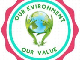 OUR ENVIRONMENT OUR VALUE