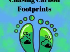 The carbon footprint per capita is around 4 tons. This oscillation causes global warming. Consequently, this project is aimed to raise students' awareness about global warming, carbon footprint, and steps that can be taken for their prevention. 