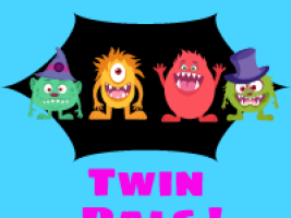 Twin Pals: a friendship-building project