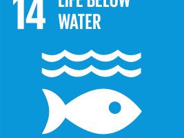 Goal 14. Life Below Water