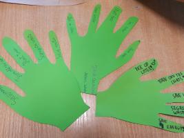 Green hands symbolising ecological lifestyle
