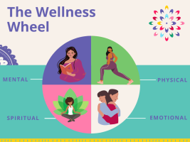 The Wellness Wheel of our Lives
