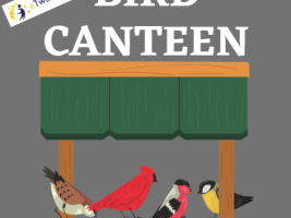 Bird canteen logo