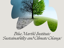 Blue Marble Institute 'Sustainability and Climate Change' Project